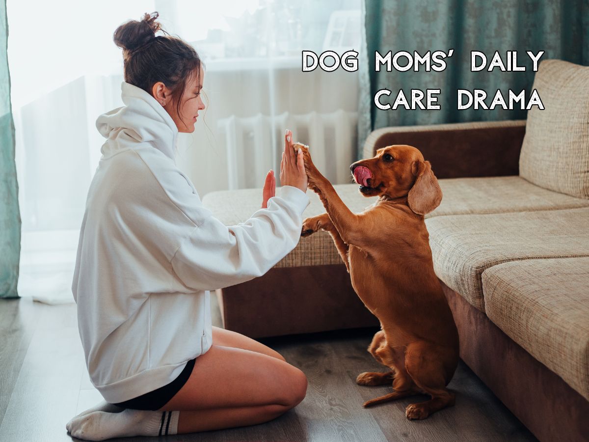 Dog Moms Drama